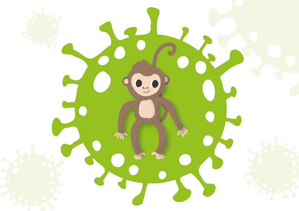 what is monkeypox